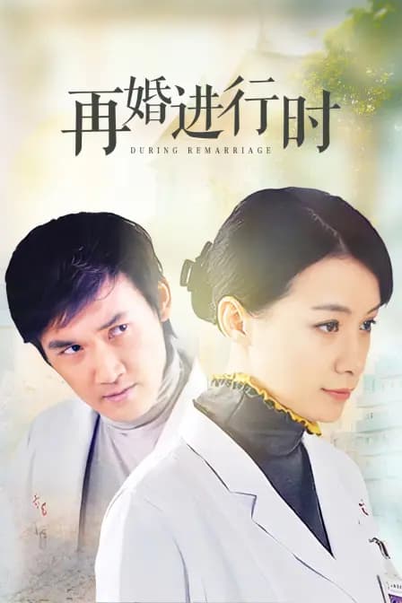再婚进行时