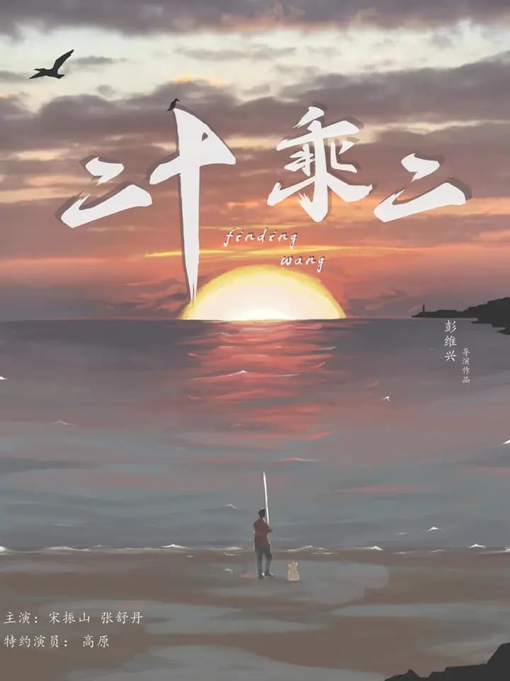 二十乘二