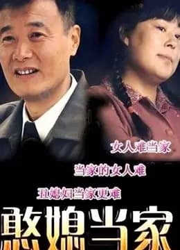 憨媳当家