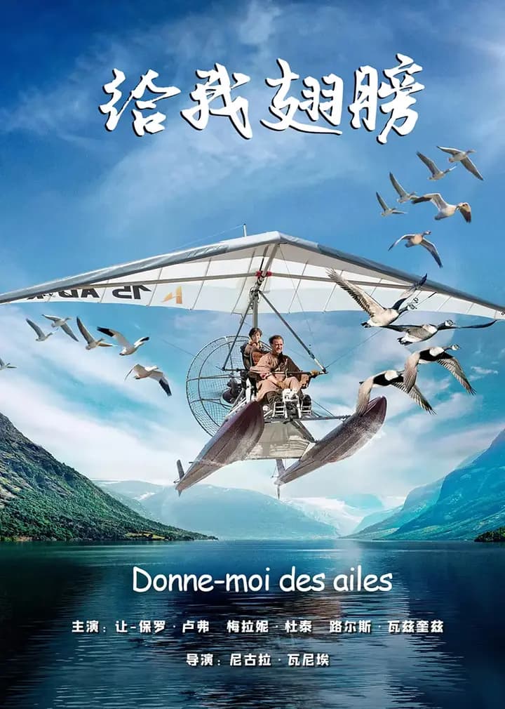 给我翅膀
