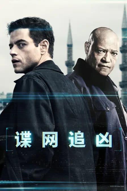 谍网追凶