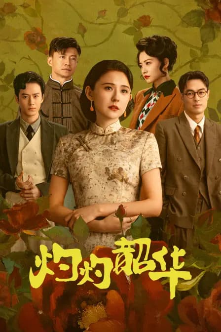 灼灼韶华