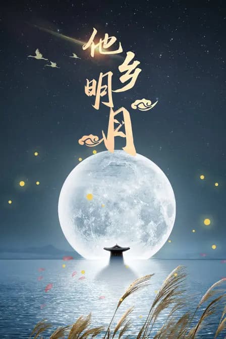 他乡明月