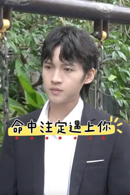 命中注定遇上你