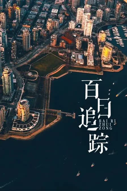 百日追踪