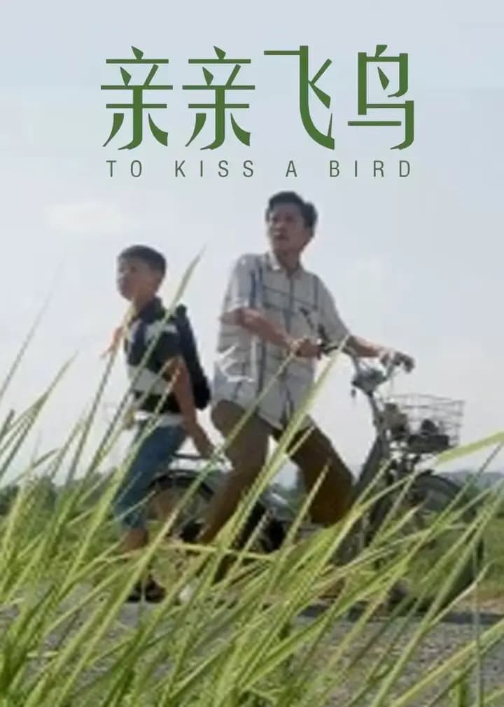 亲亲飞鸟
