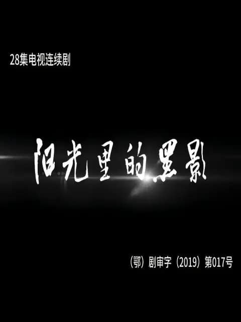 阳光里的黑影