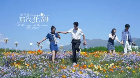 那年那人那片花海