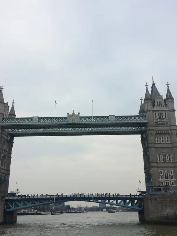 线上回测全部审核通过