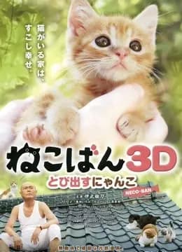 小猫跳出来3D