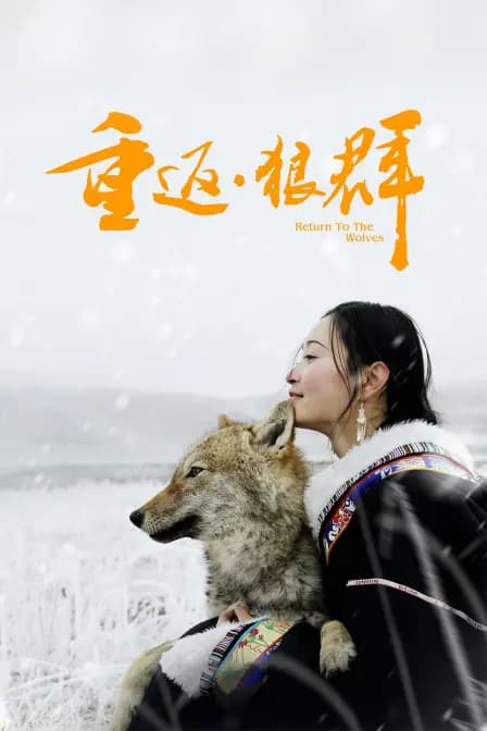 重返·狼群