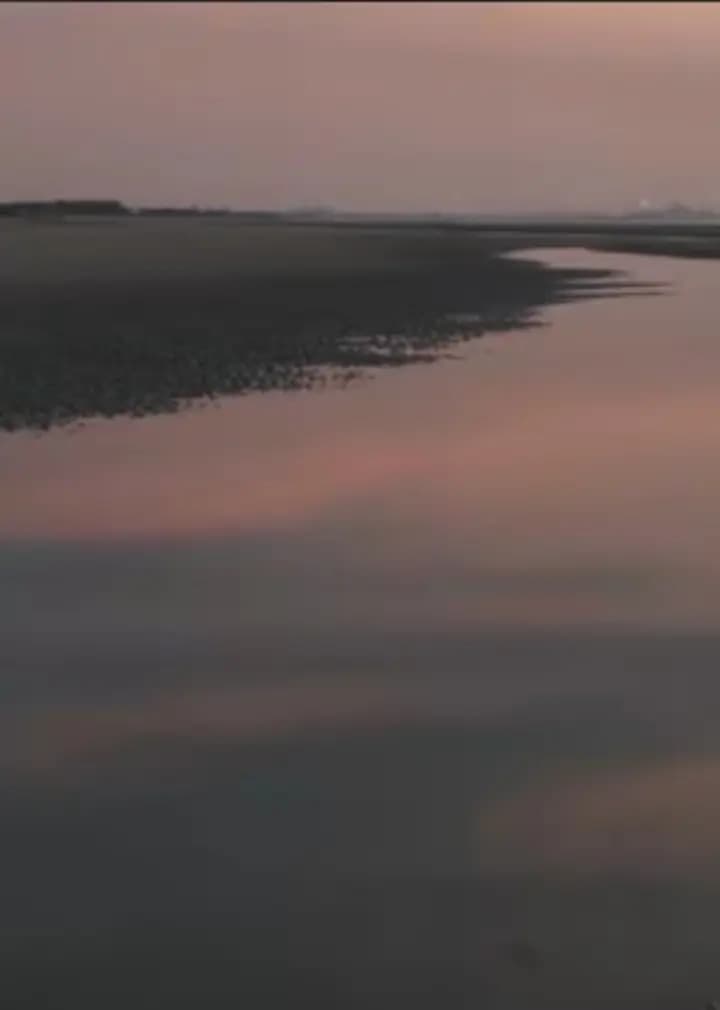 两个爸爸的故事