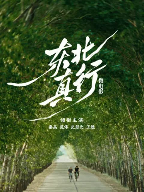 东北真行
