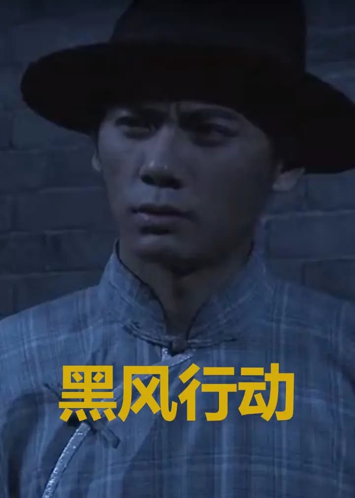 黑风行动
