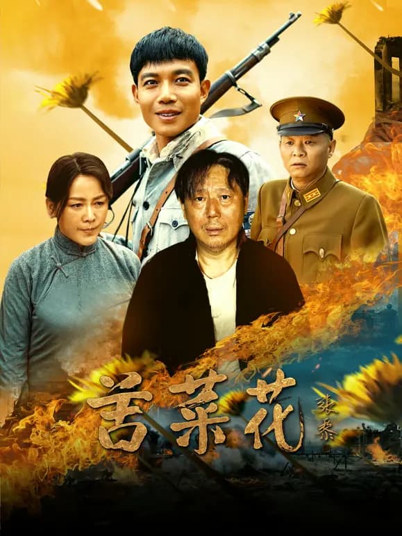 苦菜花