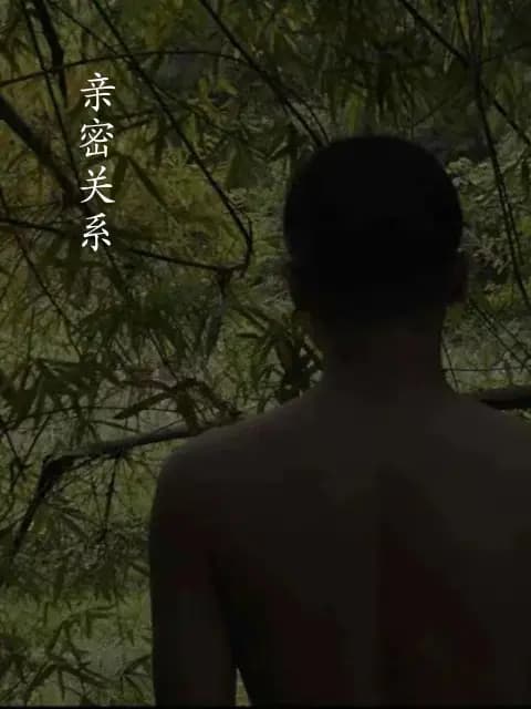 亲密关系