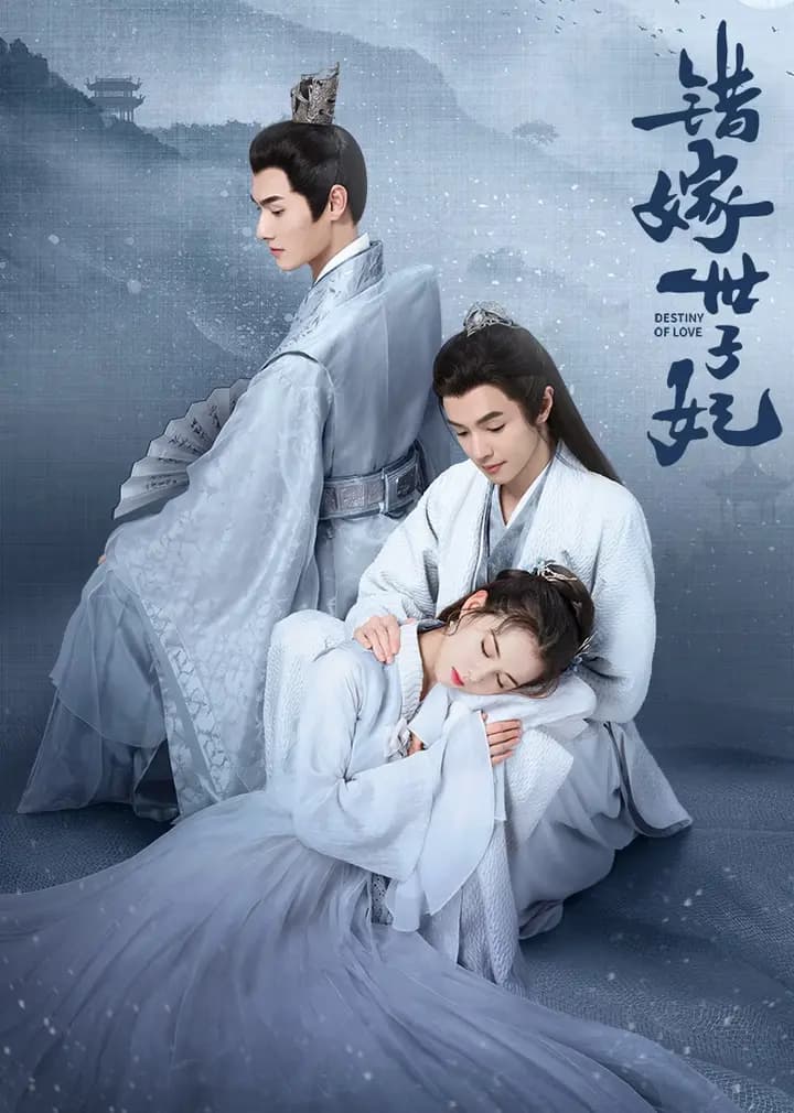 错嫁世子妃