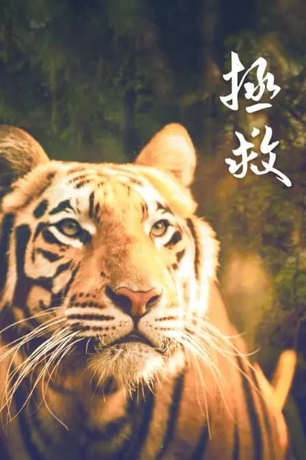 拯救